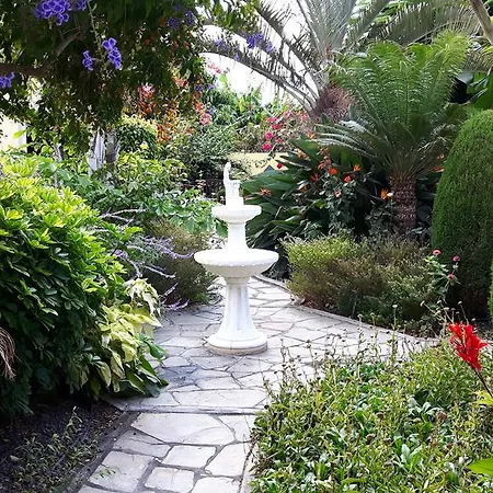 Mi Jardin Frontera