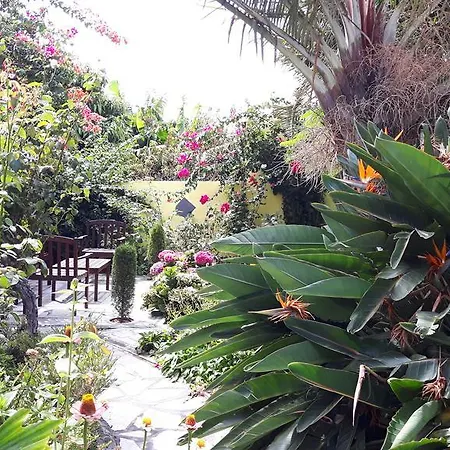 Mi Jardin *