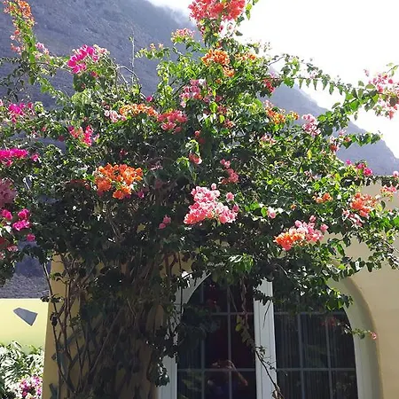 Ferienhaus Mi Jardin