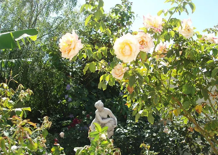 Mi Jardin