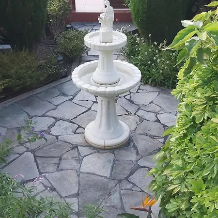 Mi Jardin
