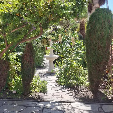 Mi Jardin Frontera